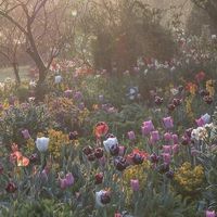 オリジナル楽曲 - にゃん