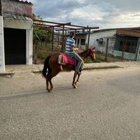 fabin.villanueva84