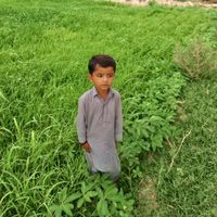 sheir.mammad243