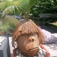 tubolbolits