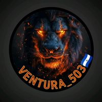 ventura_503