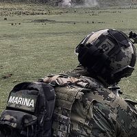 navy_mx.oficial
