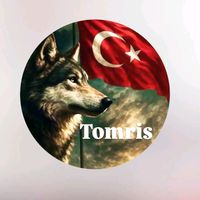 orijinal ses