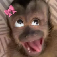 original sound - keny_home