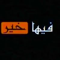 anis.allek01