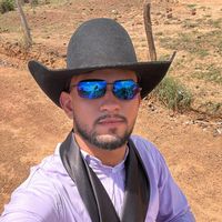 andrefernandess77
