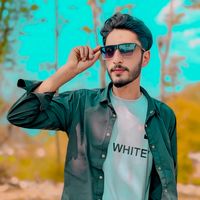 adeel.kashmiri.1