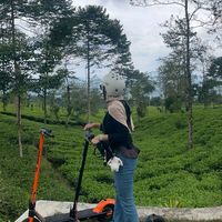 suara asli - tarii suka seblak