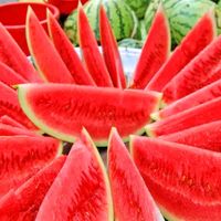 fruits288