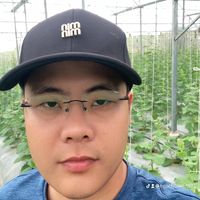 nhạc nền - Hoàng  Hạt giống HT