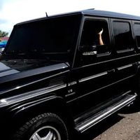 оригинальный звук