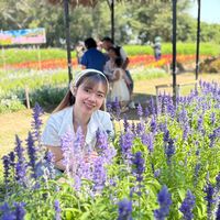 เสียงต้นฉบับ - Ladawan Panbee
