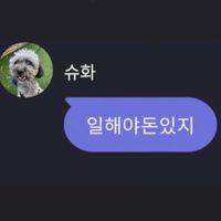 gidle_shoe