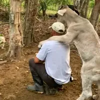 original sound - diaz51199