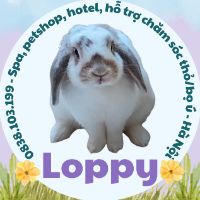 loppybunnycare