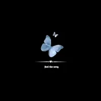 original sound - feel_the_song8