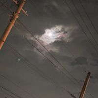 nhkfjp2246