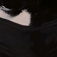 freezsimple