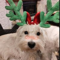 bomberanddriftforever