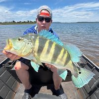 nataljuniorfisher