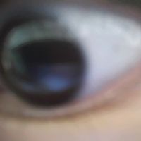 오리지널 사운드 - 니자취방곰팡이