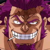 fushicho__