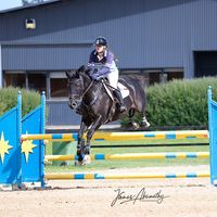 Reflections The Neighbourhood equestrian audio