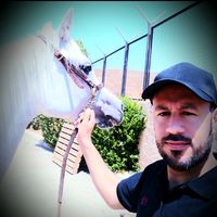 hamzad30