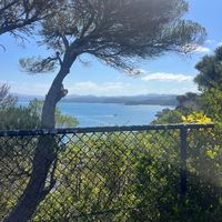 my_scenic_random_life