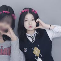 031_yelvxvn