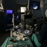 surgv2