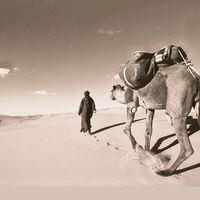 الصوت الأصلي - الرحاله