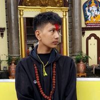 bipinn31