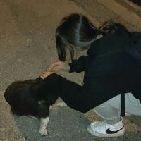 orijinal ses