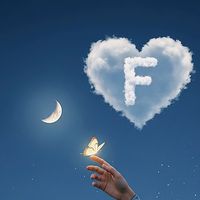 faysalfaraziiii