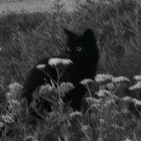 n.a_nil