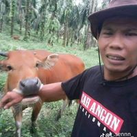 nhạc nền - ThanhNguyênChil?