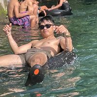 rryjepausaencarnacionjr