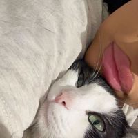 asmaadz75