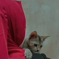 asri_queen_baby