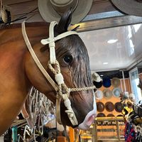 el_huasito_campesino