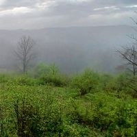 _savanovic_c010