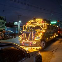tupapasitorico03