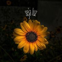 motivacao_diaria93