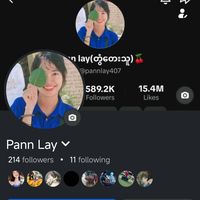 pannlay407