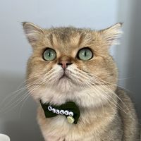 Birbucukmilyarverdilervermedim