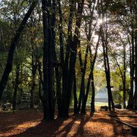 оригинальный звук