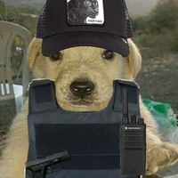 el_sanni