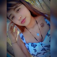 lzz_sntz1