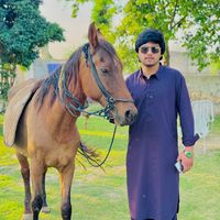sardar.ali.niaz.rajpoot7
